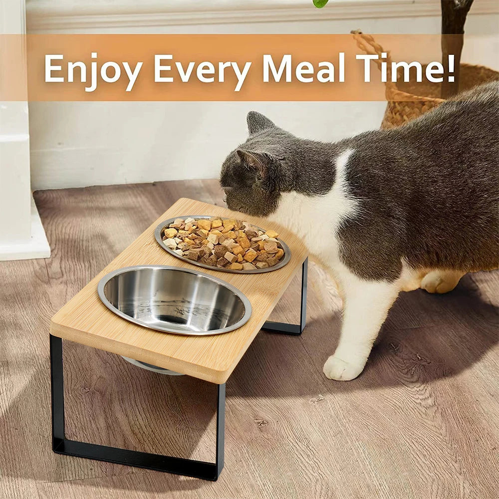 Elevated Tilted Pet Bowl
