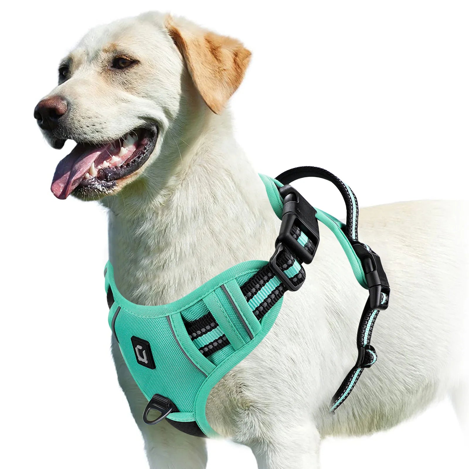 No Pull Dog Harness