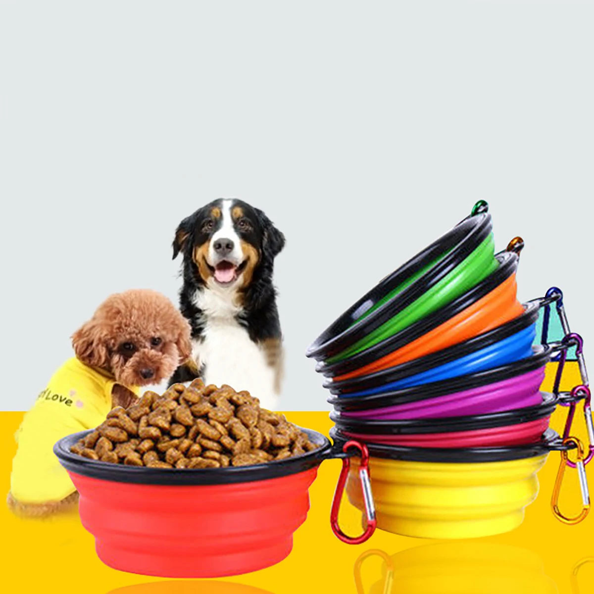 Collapsible Pet Bowl