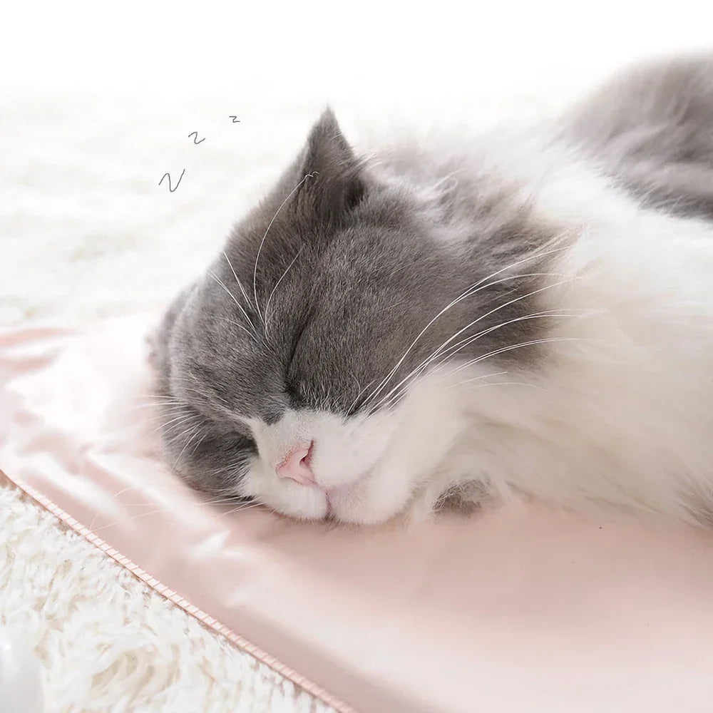 Electric Heating Pad