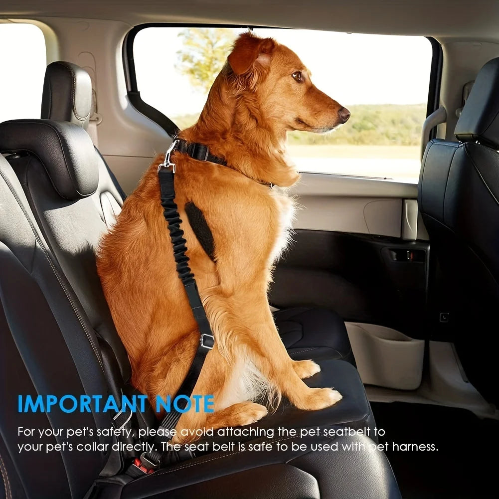 Dog Car Seat Belt