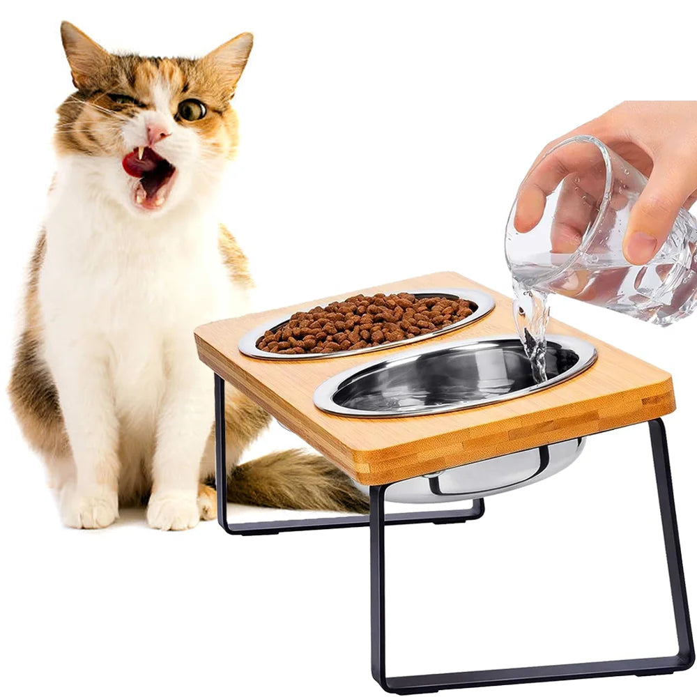 Elevated Tilted Pet Bowl