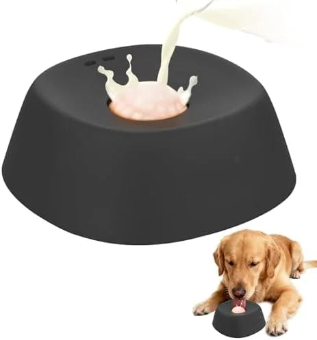 Slow Feeder Dog Bowl